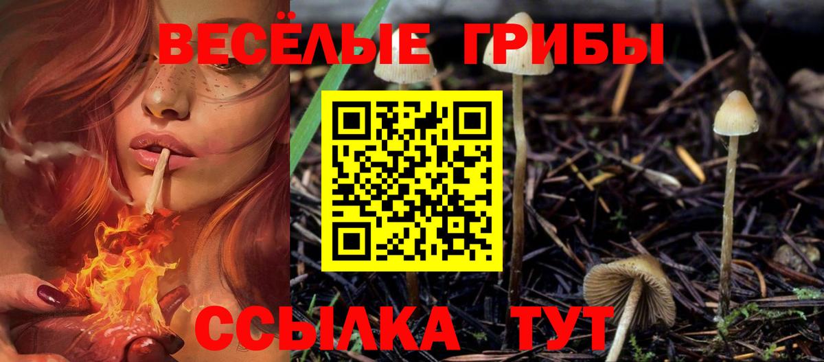 Псилоцибиновые грибы MAGIC MUSHROOMS  Псилоцибиновые грибы мицелий  Вход с VPN  Таганрог 